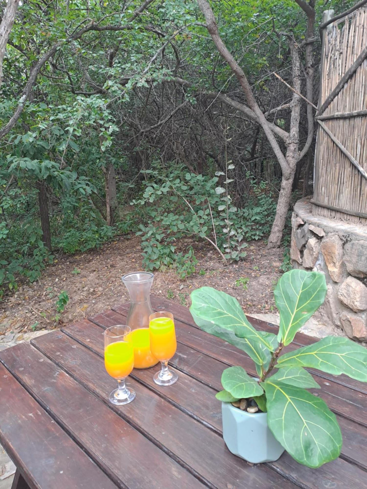 Little Bush Lodge Hoedspruit Exterior photo