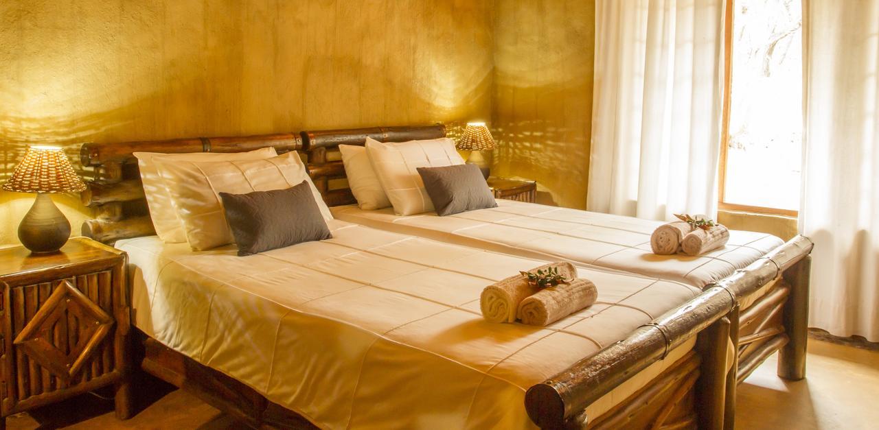 Little Bush Lodge Hoedspruit Room photo