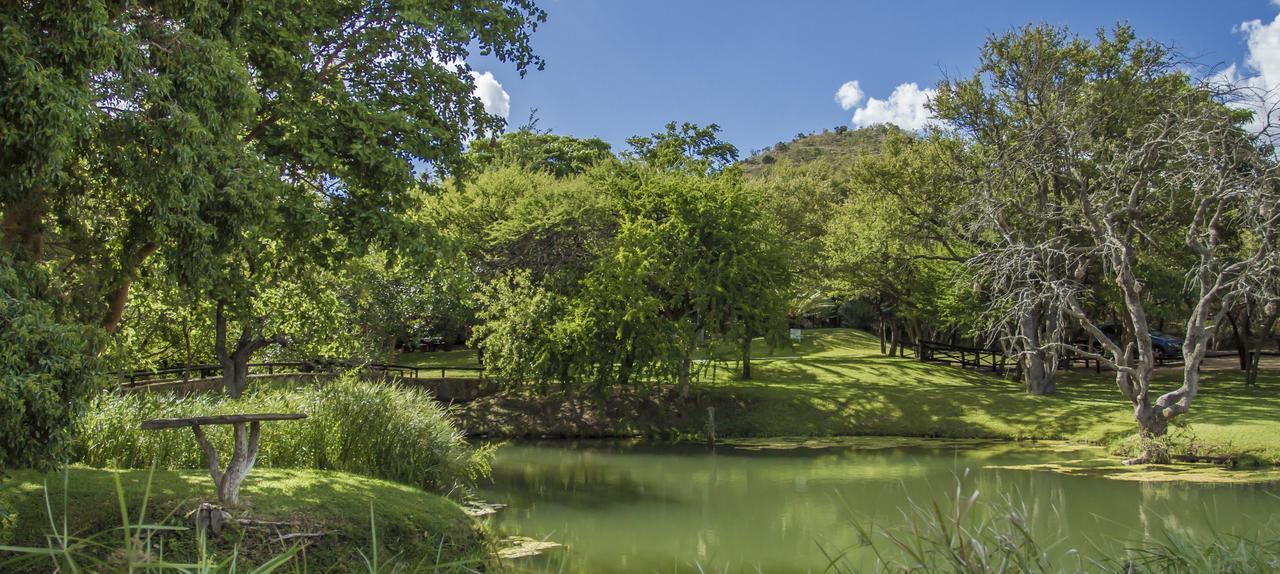 Little Bush Lodge Hoedspruit Exterior photo