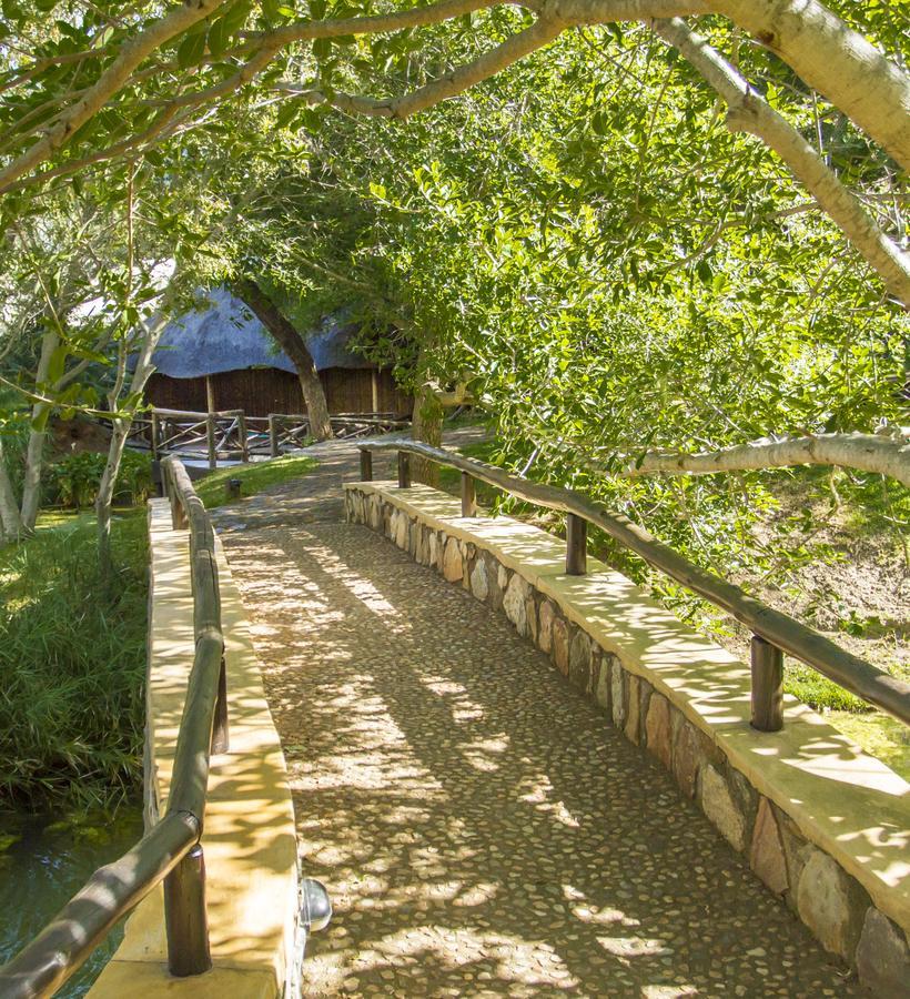 Little Bush Lodge Hoedspruit Exterior photo