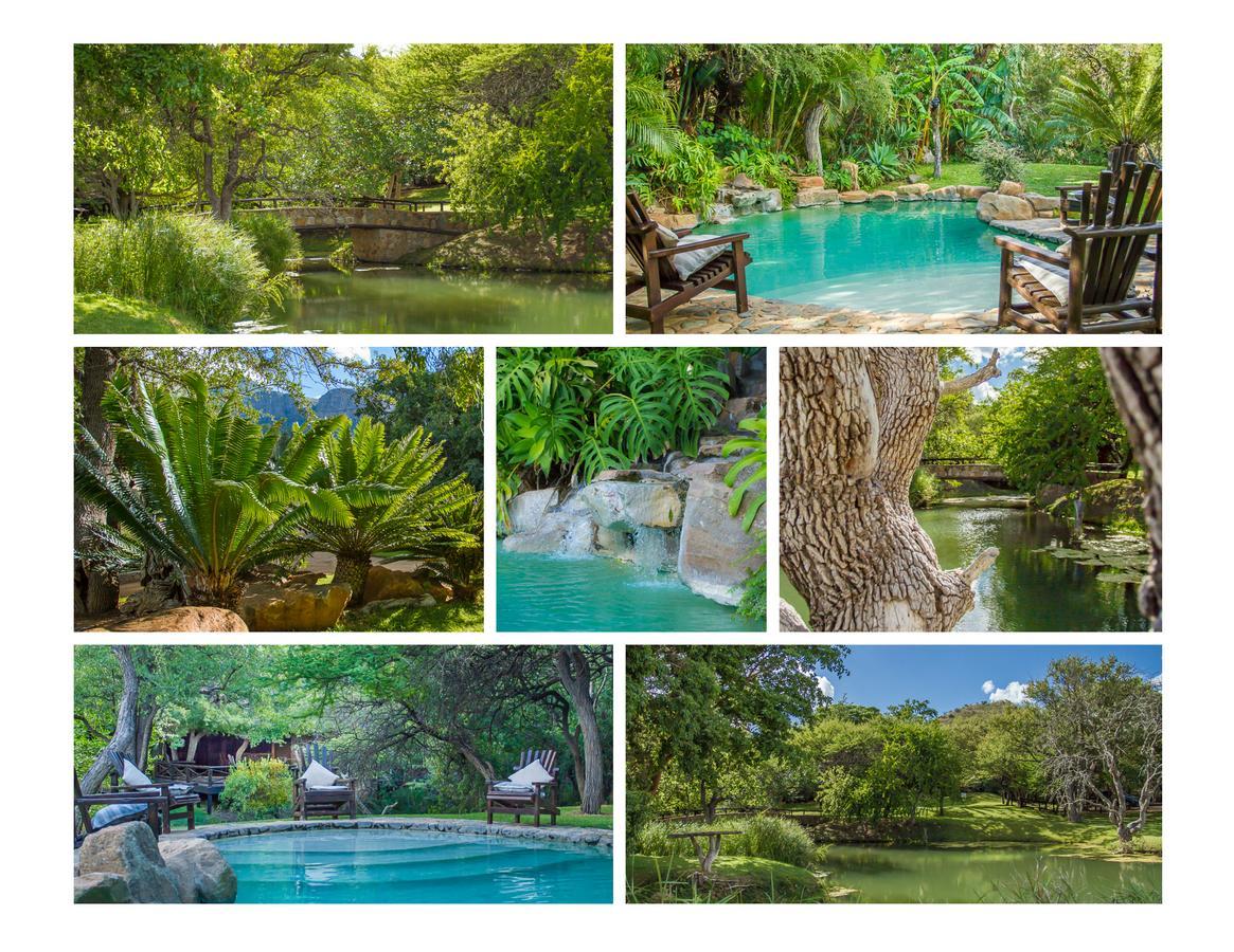 Little Bush Lodge Hoedspruit Exterior photo
